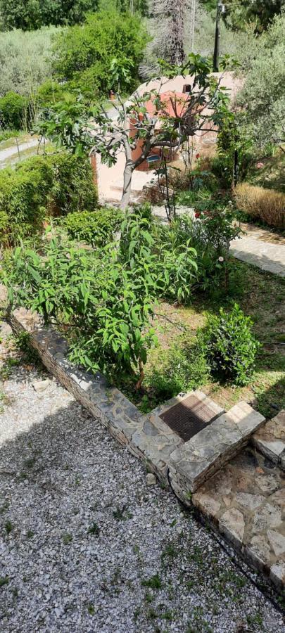 Maison Provence Avec Piscine Privative Nyons Εξωτερικό φωτογραφία